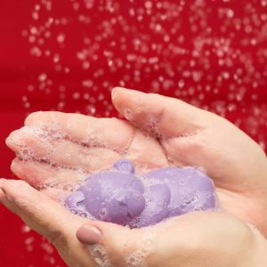 Sleepy Bear Shh, dont wake the bear