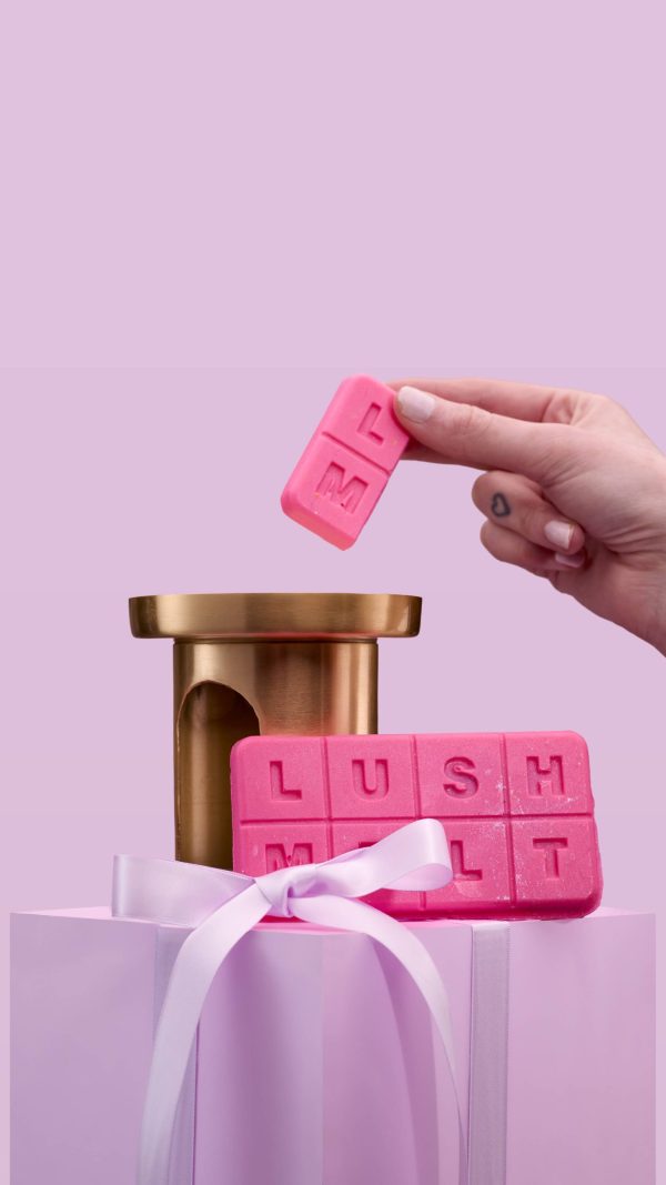 Snow Fairy Home, sweet fairy home