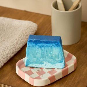 Checkmate Soap Dish What's your next move