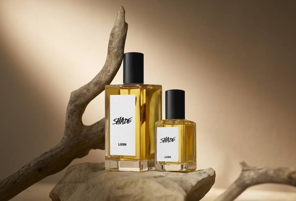 Shade Warm and comforting sandalwood and olibanum